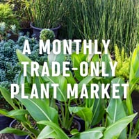 A monthly Trade-Only Plant Market (2)