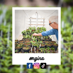 #ngina-1