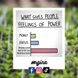 #ngina-2 #ngina-2