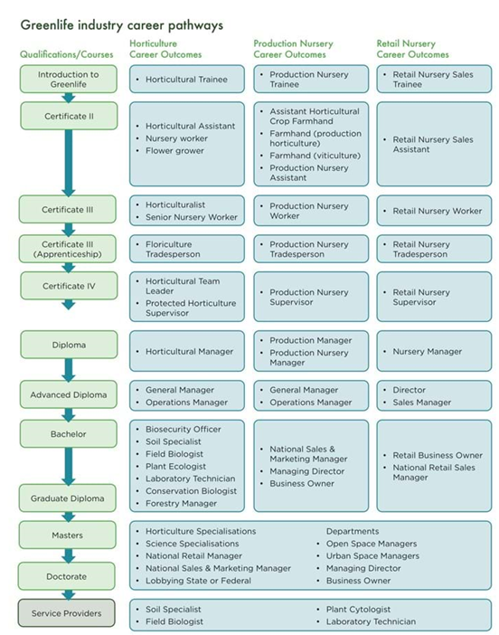 Career Path