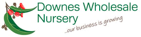 Downes Logo 2020_Downes Logo