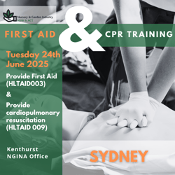 First Aid & CPR Training Flyer (Instagram Post) (5)