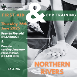 First Aid & CPR Training Flyer (Instagram Post) (8)