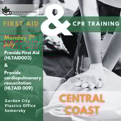 First Aid & CPR Training Flyer (Instagram Post) (9)