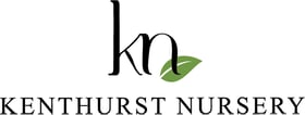 KN New Logo