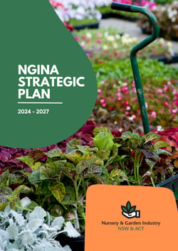 NGINA Strategic Plan 2024 - 2027