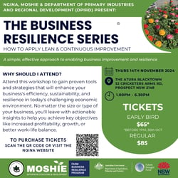 THE BUSINESS RESILIENCE SERIES HOW TO APPLY LEAN & CONTINUOUS IMPROVEMENT A simple, effective approach to enabling business improvement and resilience (5)