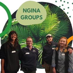 NGINA Groups