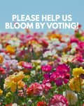 Vote for us square v1 (16)