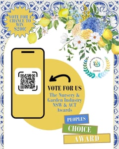 Vote for us v2 45