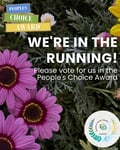Vote for us v3 45 (1)