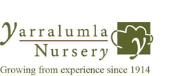 Yarralumla Nursery logo-tagline-cmyk-2023