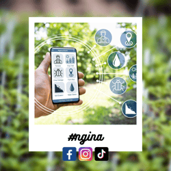 #ngina-3