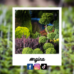 #ngina-Oct-23-2023-03-18-04-0726-AM #ngina-Oct-23-2023-03-18-04-0726-AM