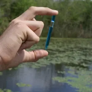 0001-2096699908