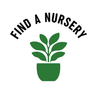 5-Feb-17-2026-12-56-34-0436-AM