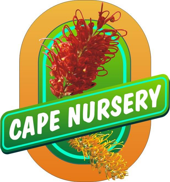 Cape Nurserylogo 90%