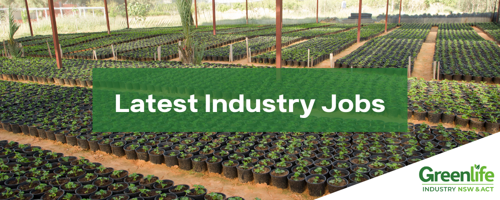 Latest Industry Jobs