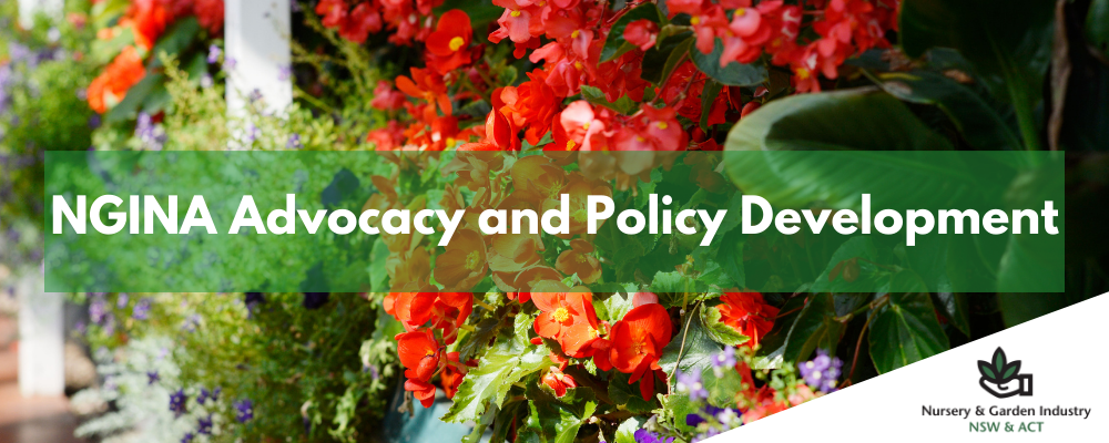 Advocaacy and Policy Development