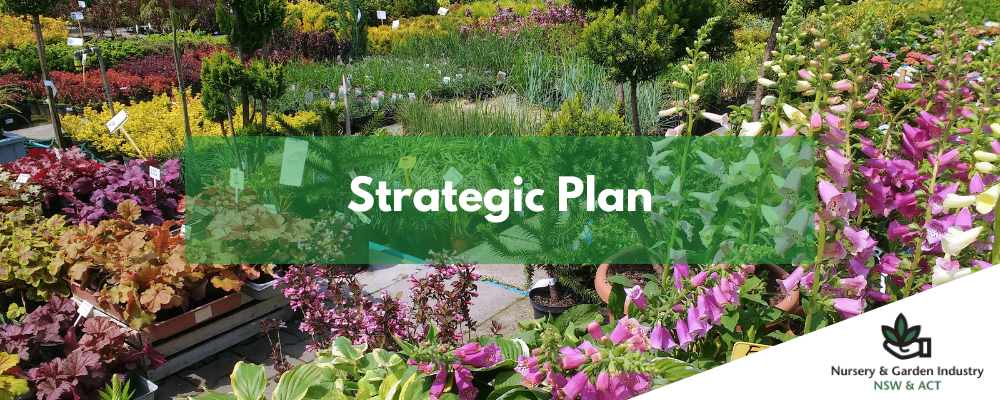 Strategic Plan