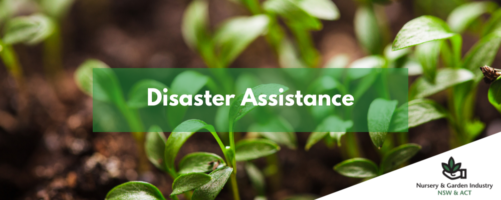 Disaster Assistance