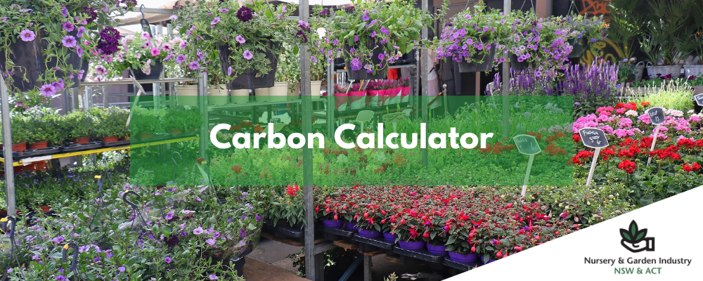 Carbon Calculator