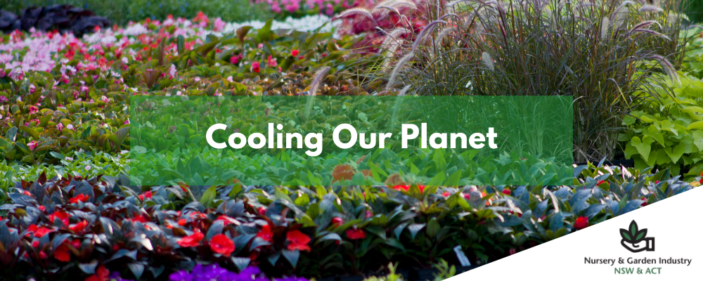 Cooling our planet