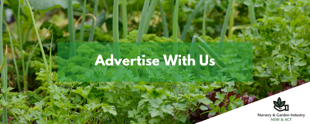 Advertise with us