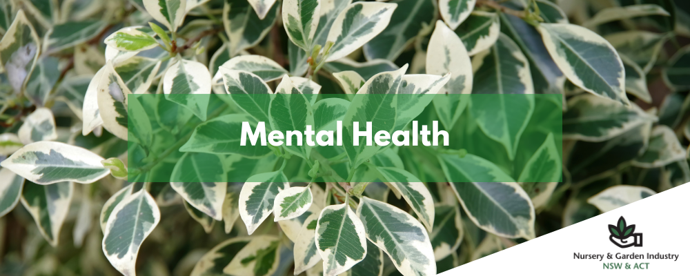 Mental Health Mental Health