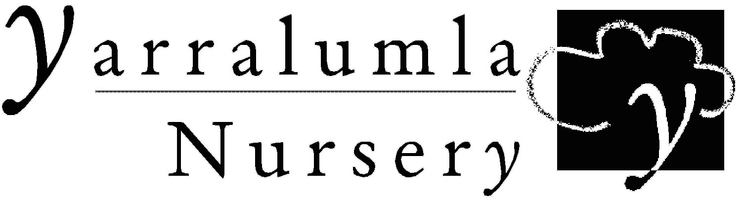 Yarralumla Nursery Logo
